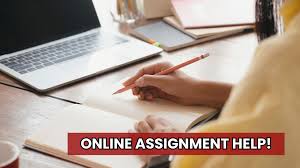 online assignment writing help