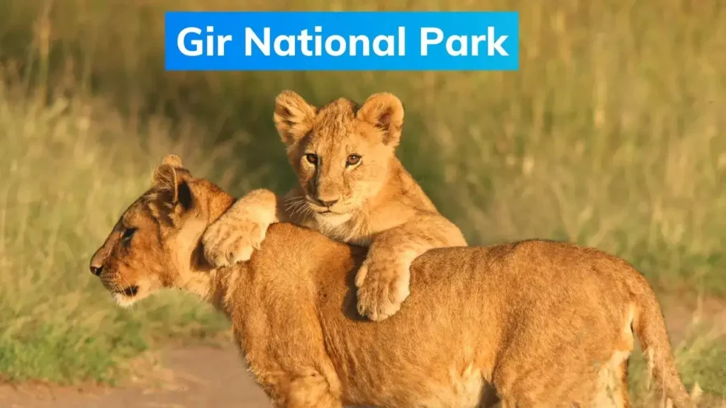 gir2