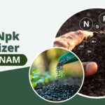 best npk fertilizer in vietnam
