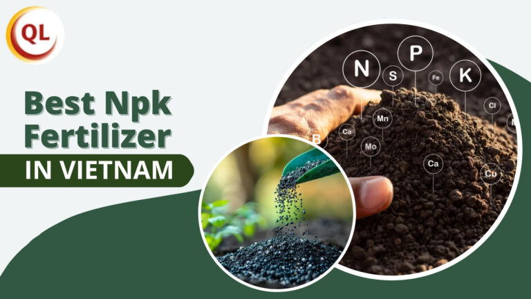 best npk fertilizer in vietnam