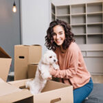 Pet relocation international