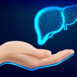 Hand Care. Closeup of female hand in doctors coat ponting or holding Liver, Heart, Human anatomy. Medicine, healthcare and advertisement concept