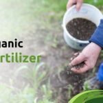 organic biofertilizer