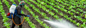 Buy Fungicide Online